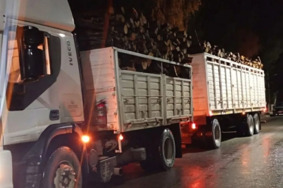 El Maitén: secuestran un cargamento de leña por irregularidades en la documentación