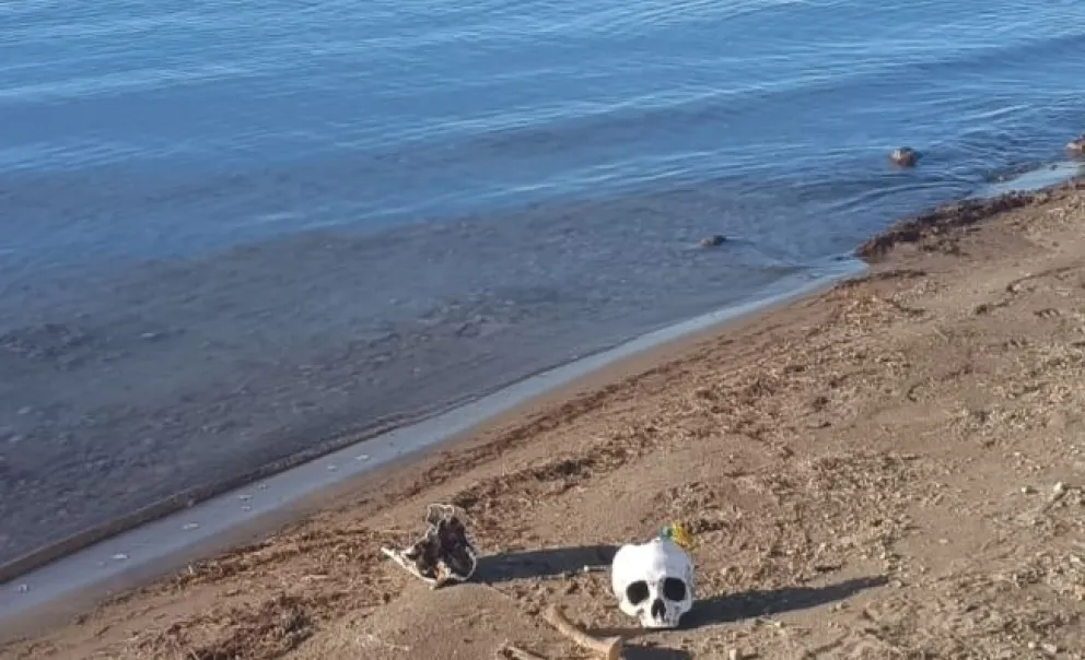 Hallaron supuestas calaveras humanas cerca del lago Muster