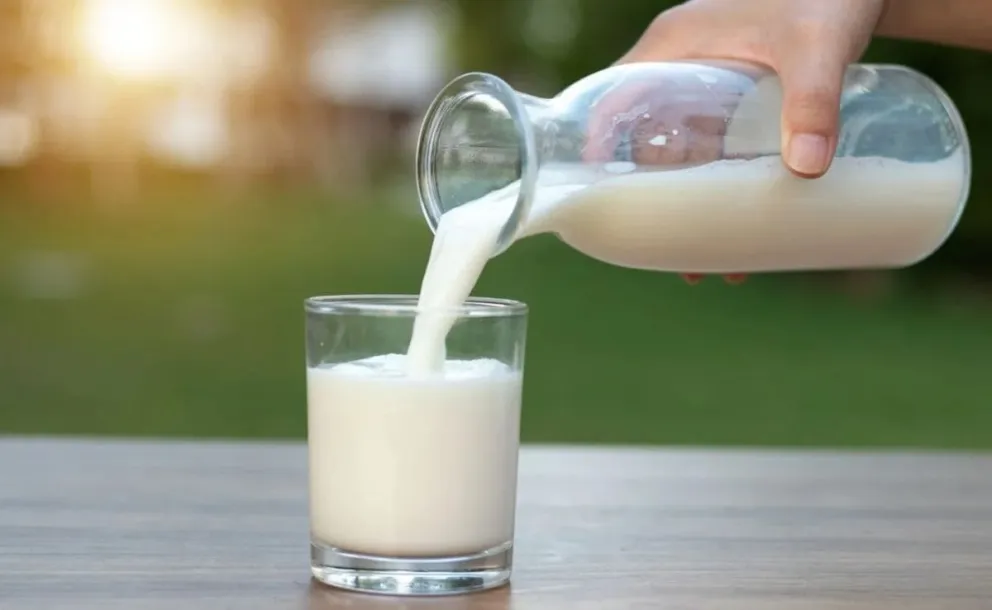 Día Mundial de la Leche: importancia del consumo lácteo en la nutrición