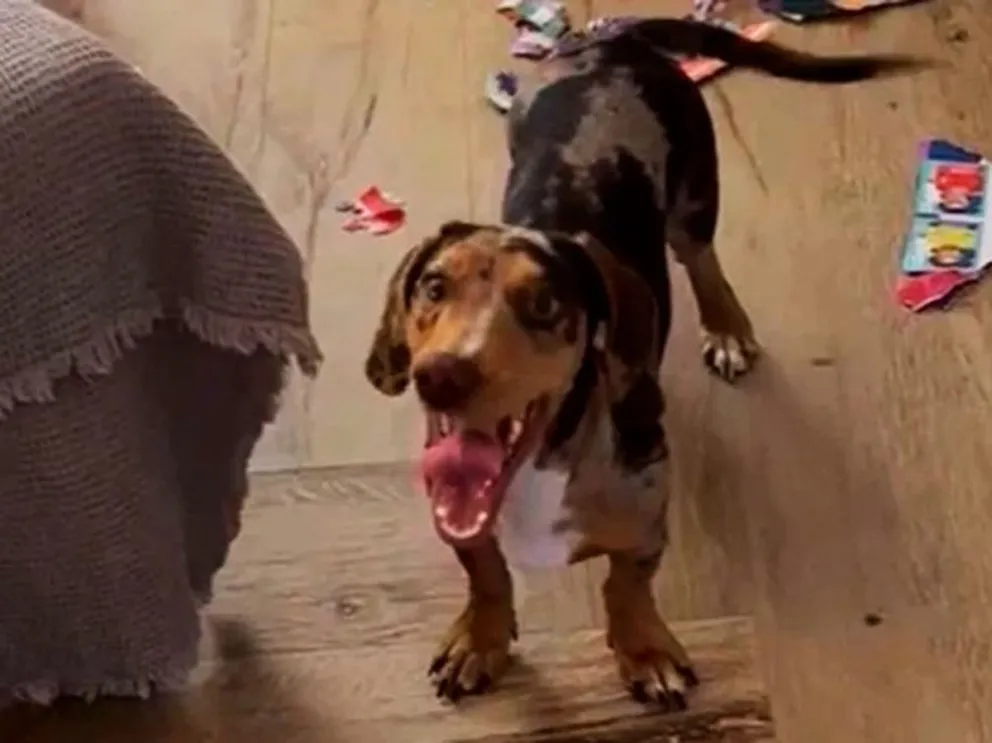 Captura de video