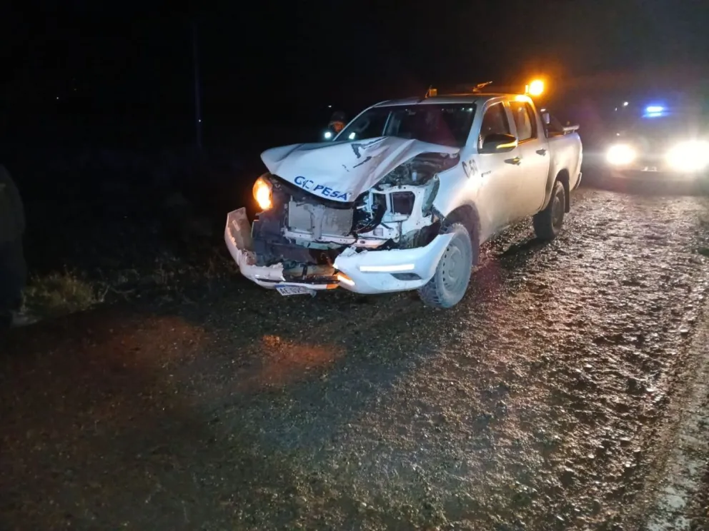 Una camioneta chocó con un caballo cerca de Rada Tilly