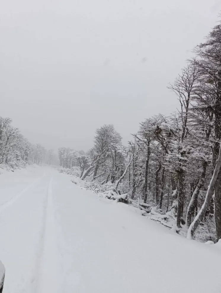 Las primeras nevadas alimentan la ilusión en El Bolson