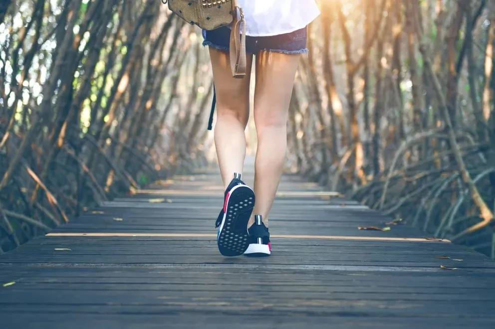 Cómo impacta caminar 30 minutos al día en el sistema cardiovascular
