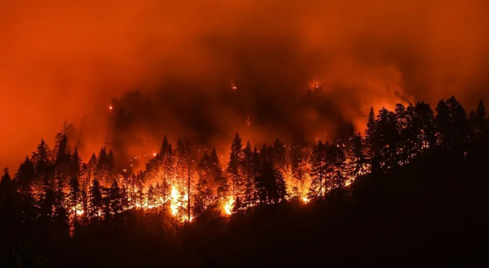 California: incendio forestal afecta más de 800 hectáreas