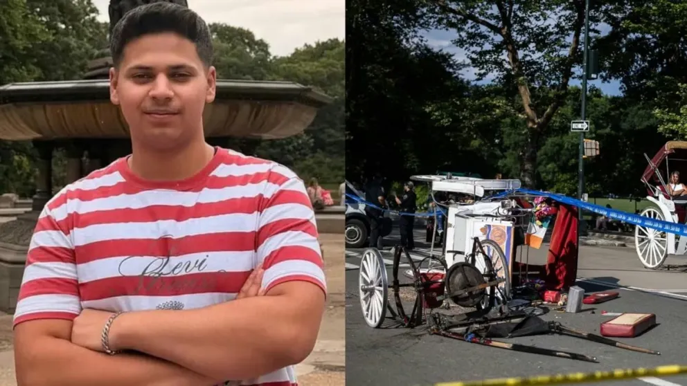 Un caballo fuera de control protagonizó un fatal accidente al arrastrar un carruaje en el que se desplazaba una familia