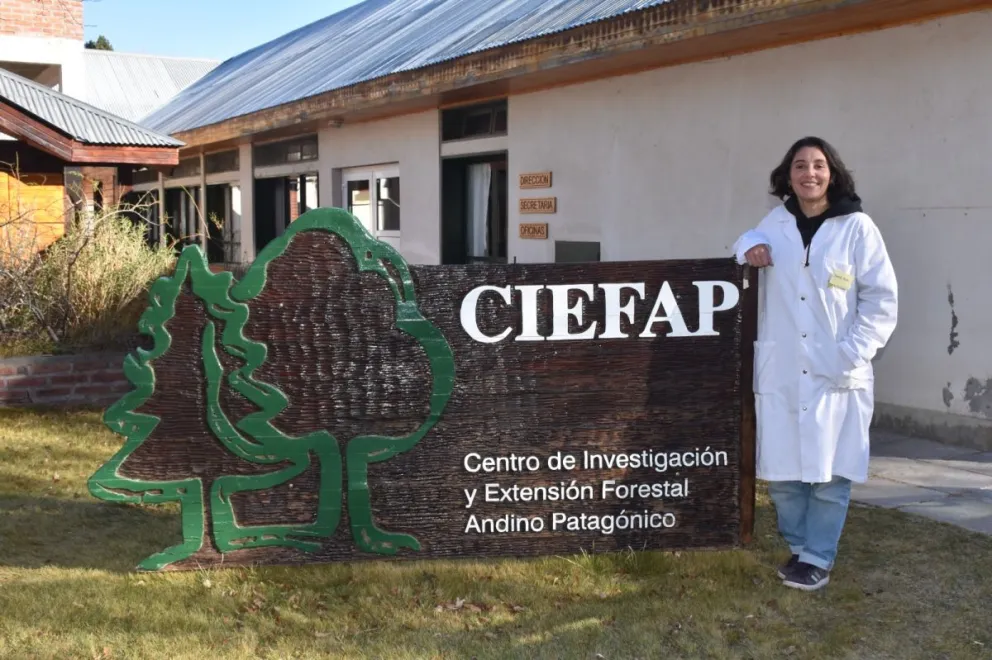 Una becaria chubutense ganó el premio nacional Rotary por investigar el uso del hongo "llao-llao" en alimentos