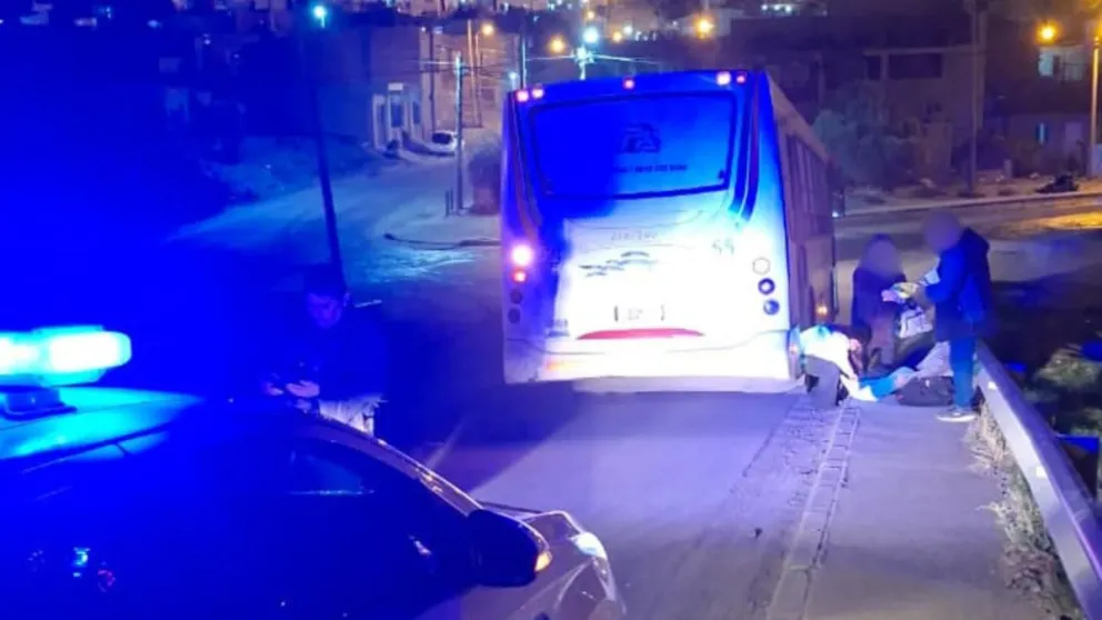 Una mujer resultó lesionada al descender de un colectivo en el barrio Moure