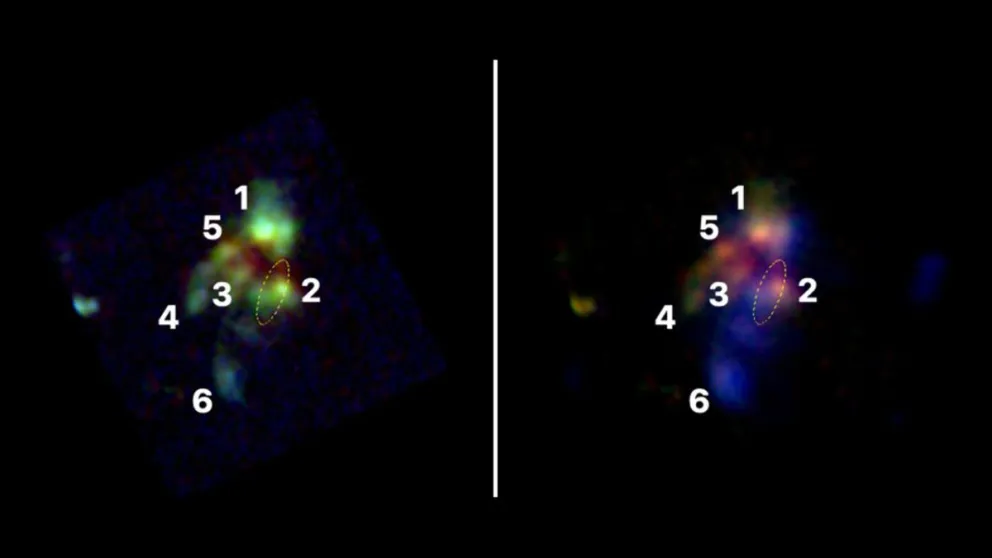 A la izquierda, las galaxias detectadas. A la derecha, las estructuras de gas en color azul. La 2 es la radiogalaxia identificada. Foto: CONICET - JWST