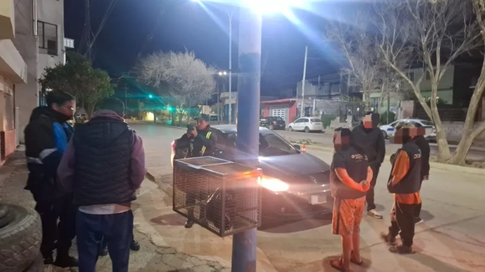 Detectaron una posible licencia falsa en un control en el Fuchs