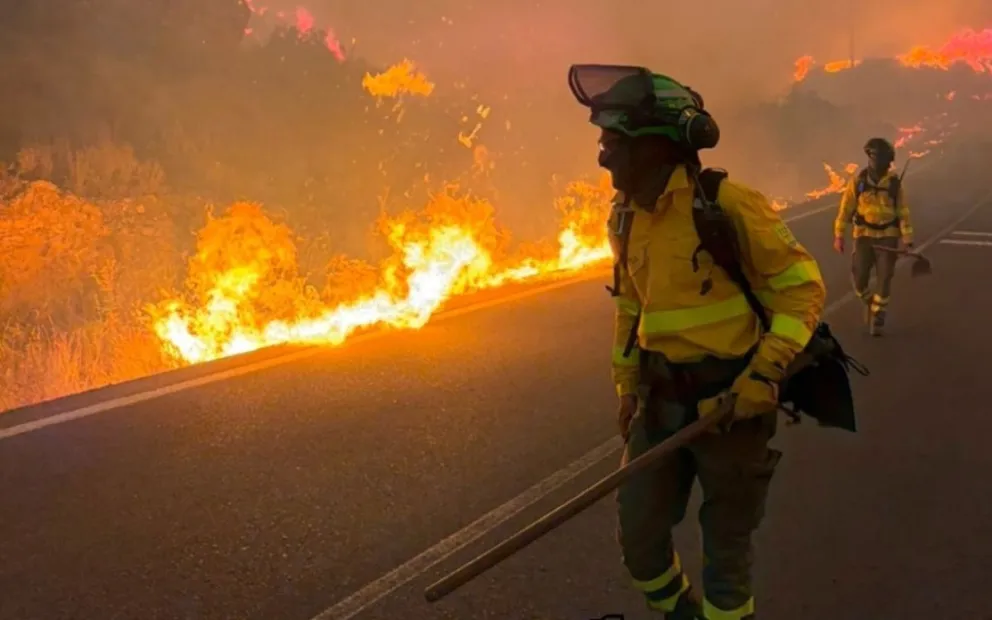 Tragedia en España: un incendio forestal deja 19 fallecidos