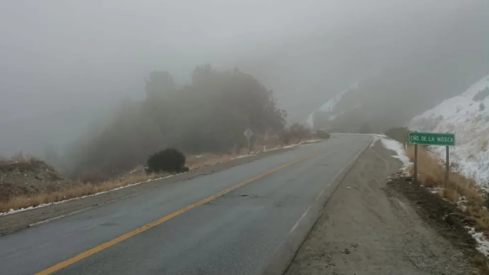 Precaución para circular por la Ruta Nacional 40 entre Bariloche y El Bolsón