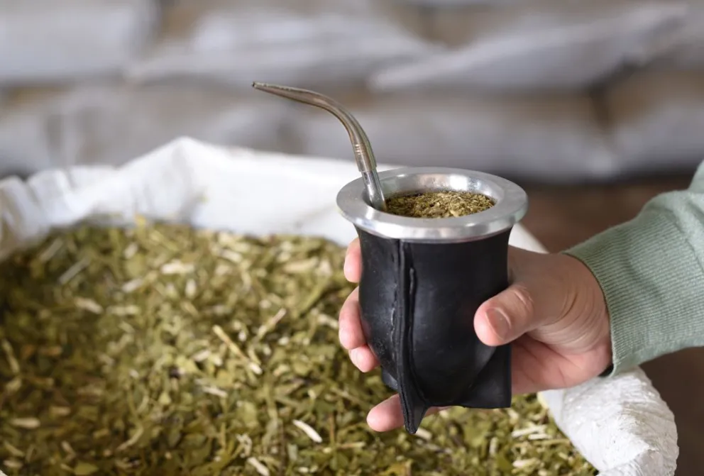 India incorporó la yerba mate argentina a su Código Alimentario y habilitó las importaciones comerciales.