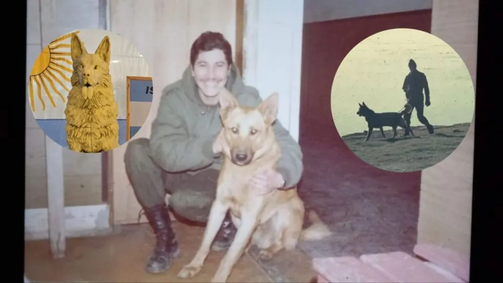 De Comodoro a Malvinas: la historia de Mortero, el perro que nunca abandonó a los soldados // Imágenes de archivo (Zona Militar)