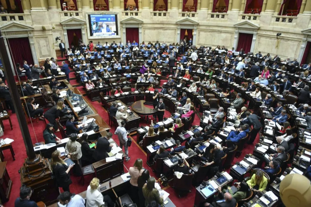 El oficialismo buscará darle media sanción a la reforma durante una sesión que se convocaría para el 19 o el 26 de agosto.
