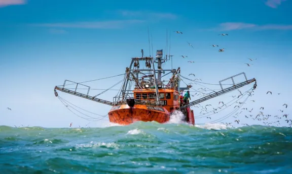 Por la aparición de merluza podría interrumpirse la temporada de langostino