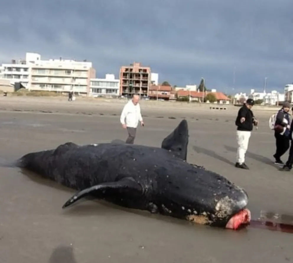 Foto: Madryn Ahora
