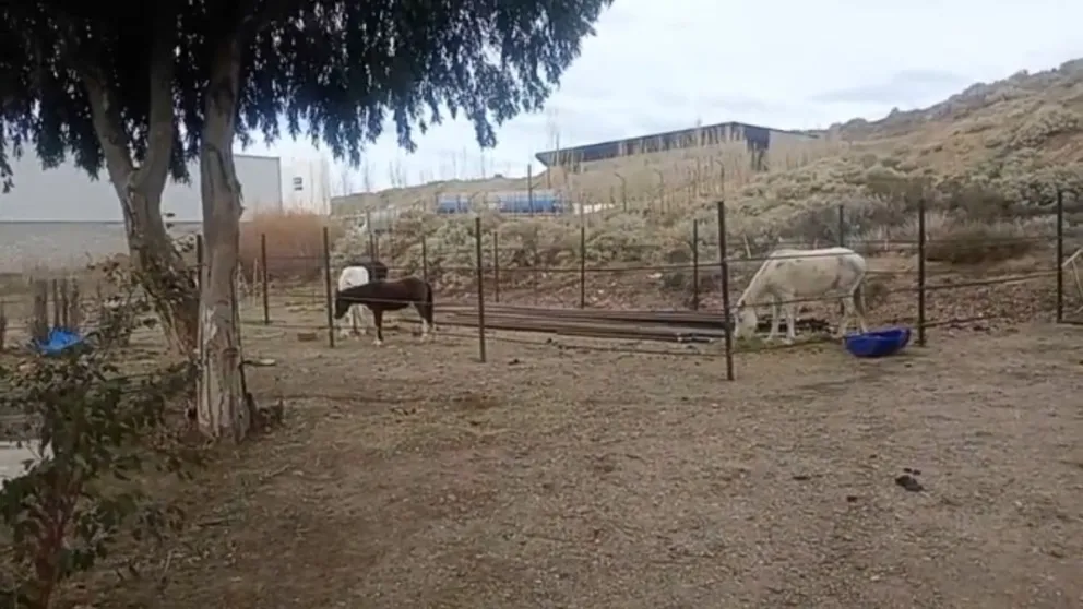 Foto: captura de video