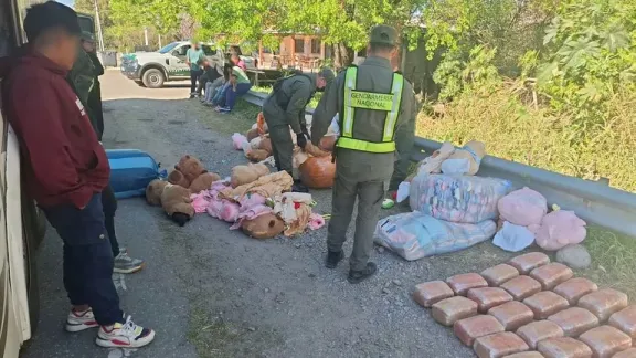 Detuvieron a una mujer que traficaba droga oculta en peluches de carpincho