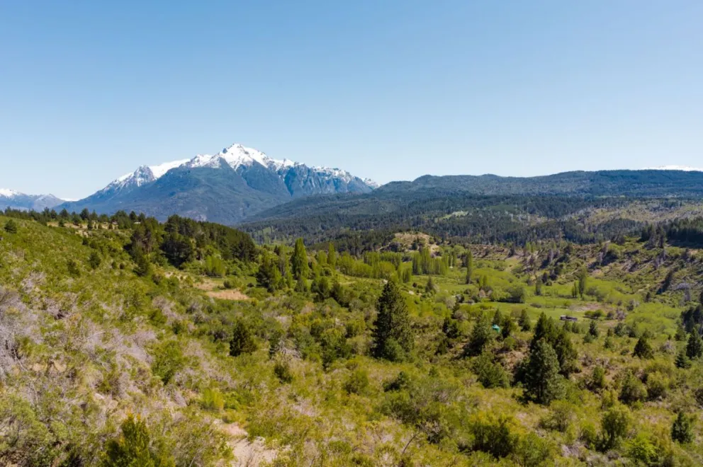 El Gobierno inició la campaña de restauración prevista para septiembre y octubre, junto a la Fundación Vida Silvestre y a la organización ReforestArg, plantándose hasta el momento 32.000 árboles nativos sobre 40 hectáreas de la Reserva Lago Epuyén.