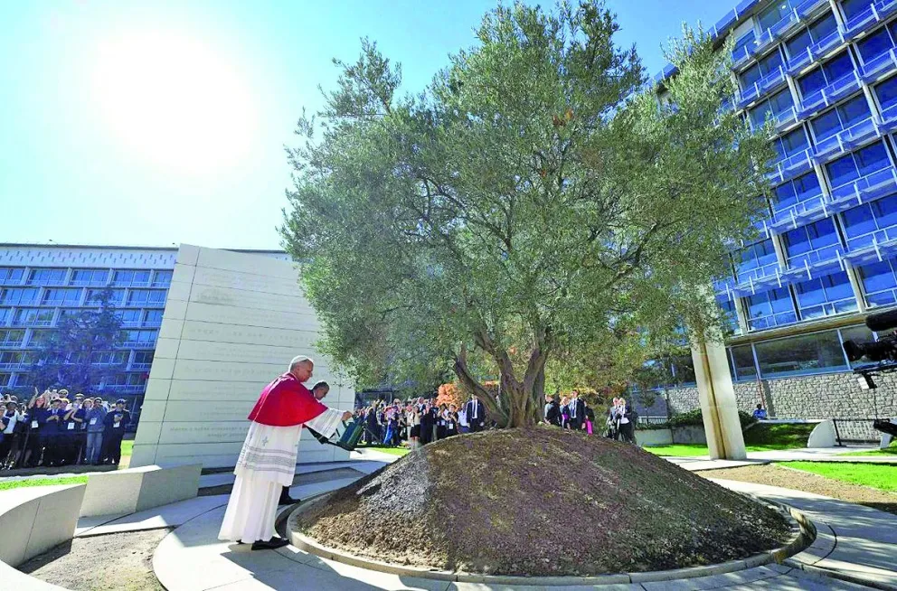 El Papa riega un olivo en la Plaza de la Tolerancia de la sede de la Unesco en París   (@Vatican Media).