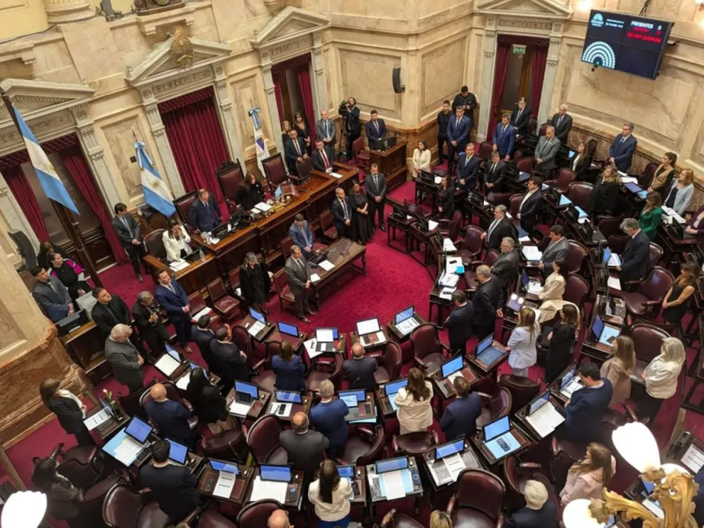 El Senado dio media sanción a la reforma de la ley de salud mental.
