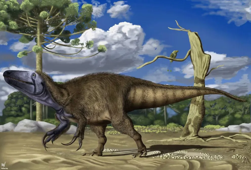 Rinconraptor pipoae, el dinosaurio hallado en el norte de Neuquén. Fotos: IPGP-CENPAT/Ariel Mendez