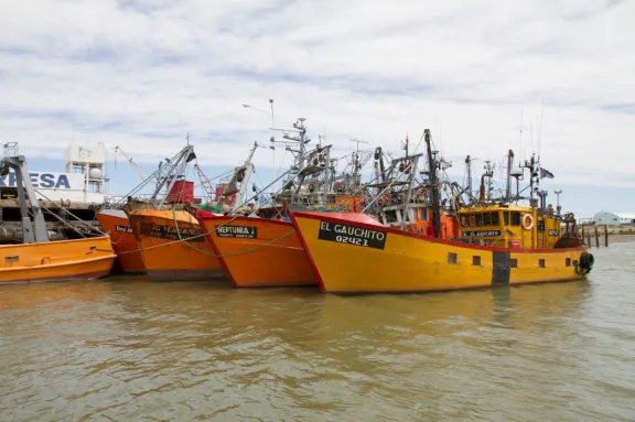 La pesca se sumó al régimen de inversiones que aprobó el Senado
